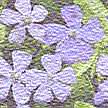 7395500_4777484_5666570 (108x108, 18Kb)