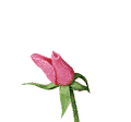 26 (120x112, 8Kb)