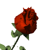 a17 (100x100, 10Kb)