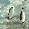 14141_prev_98 (98x98, 279Kb)
