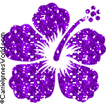 6501731_6340349_4775804_hibiscus1 (156x151, 24Kb)