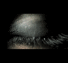 eye (100x93, 19Kb)
