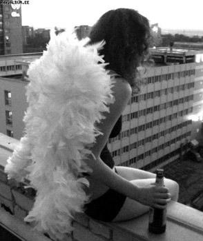 6846509_Angel_s_pivom (294x350, 17Kb)