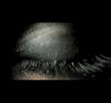 eye[1] (100x93, 38Kb)