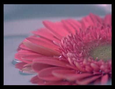 9774_b (396x307, 27Kb)
