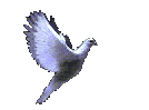 6651569_Golyb (134x99, 26Kb)