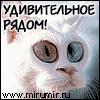1234567890 (32) (100x100, 5Kb)
