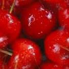 5409691_cherries (136x136, 3Kb)