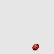 Ladybird (176x176, 26Kb)