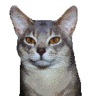  (134x139, 5Kb)