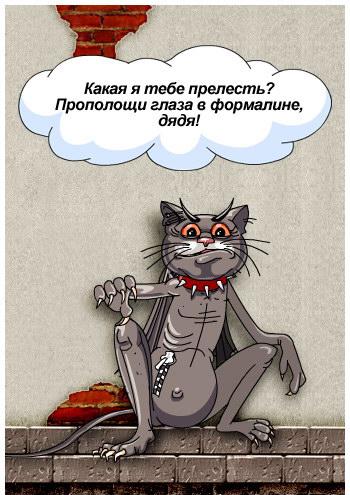 zabavno-1145565977_i_2524_full (350x495, 40Kb)