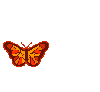  (100x92, 6Kb)