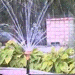  (150x150, 338Kb)