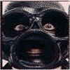  (100x100, 39Kb)