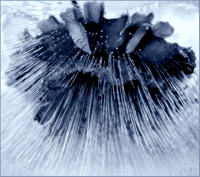  (640x565, 172Kb)