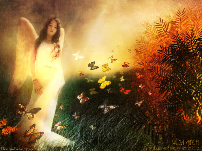 wallpapers_ru_020723_luana_lost_angel (700x525, 128Kb)