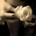 5501355_5263739_rose (120x120, 16Kb)