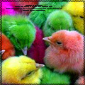  (120x120, 30Kb)