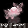  (100x100, 13Kb)