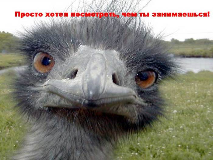  (700x525, 49Kb)