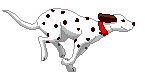  (145x72, 6Kb)