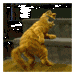  (75x75, 13Kb)