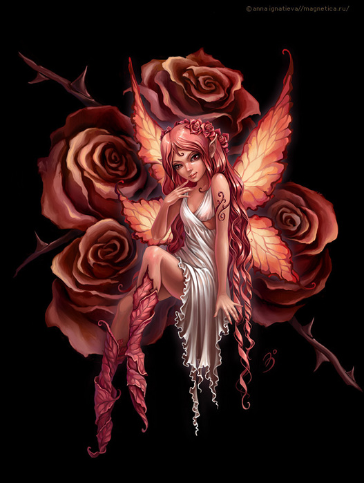 pink_rose (527x699, 144Kb)