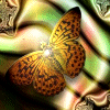 fly10 (100x100, 10Kb)