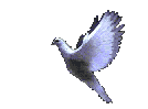 26 (134x99, 28Kb)