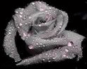 7452920_photo539 (123x97, 30Kb)