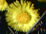  (160x120, 5Kb)