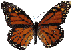 butterfly (72x51, 8Kb)
