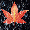 d7 (100x100, 8Kb)