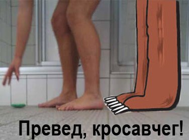preved-krosavcheg[1] (376x279, 19Kb)