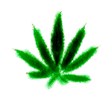 Cannabis (158x151, 65Kb)
