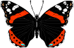  (105x68, 2Kb)