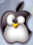  (132x176, 14Kb)