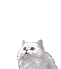(126x141, 105Kb)