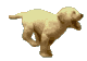   (80x56, 8Kb)