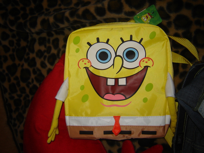 DSC02839 (700x525, 212Kb)