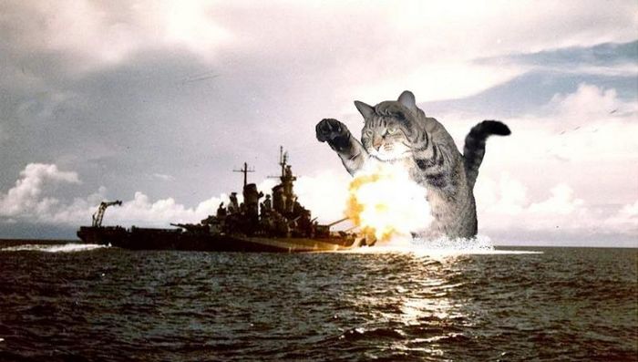  (700x397, 47Kb)