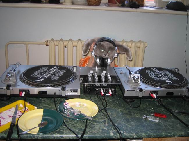 dj (650x487, 62Kb)