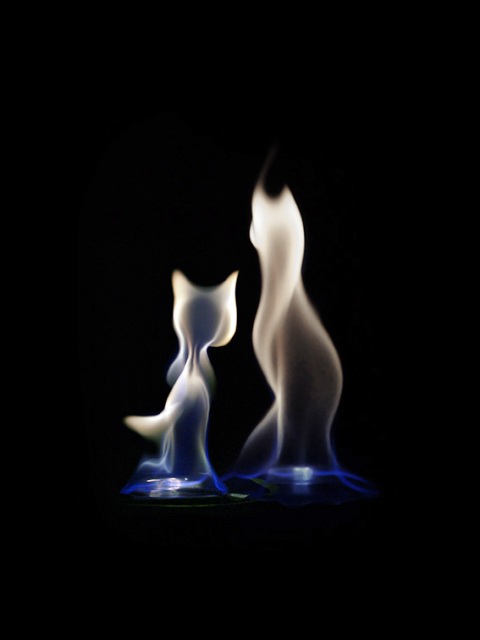 absinthe (480x640, 24Kb)