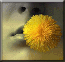  (133x128, 25Kb)