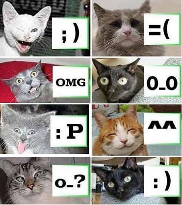  (371x417, 37Kb)