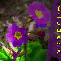  (120x120, 6Kb)