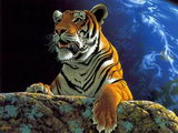  (160x120, 6Kb)