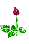  (100x150, 10Kb)