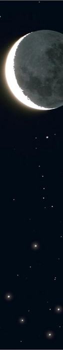  (126x694, 14Kb)