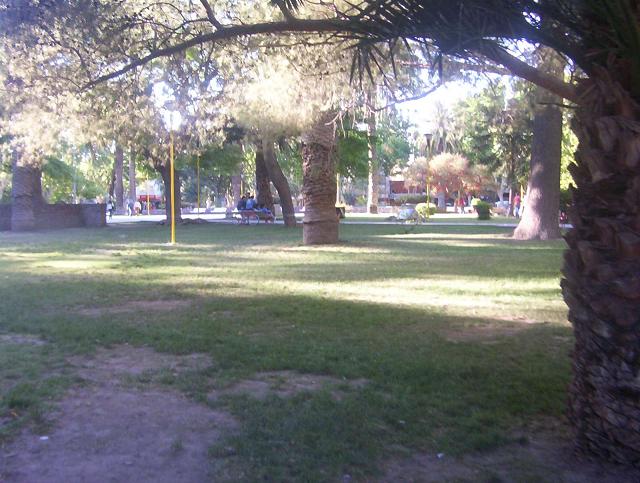  (640x483, 62Kb)